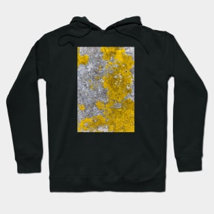 Vivid Yellow Mold Growth Hoodie